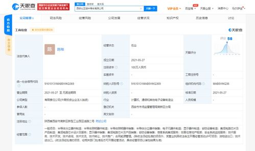 信息系統集成服務的全面解析